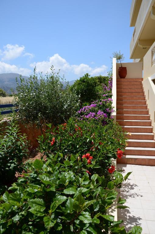 Cretan Family Apartments Malia  Exterior photo